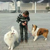 远去的家