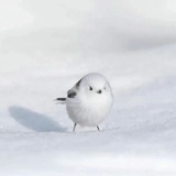 ☁