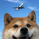 问题不大