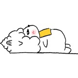 懒懒必须中奖