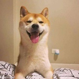 快到碗里来