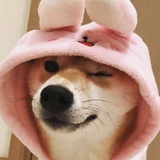 安啦