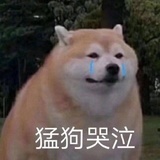 啊起名真的好难