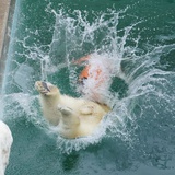 staycool