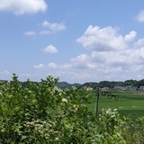 南非北