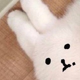 胡萝