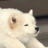 三碗不过岗