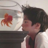 星河不入眼