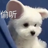 今年一定上岸