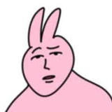 粉红兔子momo