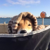 红灯行