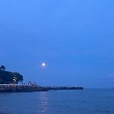 海明星