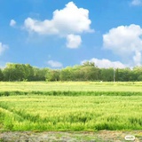 欧嘞个欧
