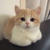 甜軟
