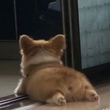 伴玺ing