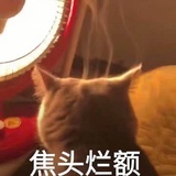 叫什么好呢