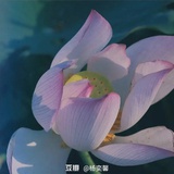 陈曦
