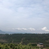 已注销