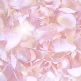 花花