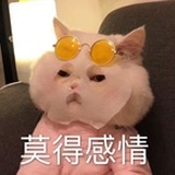 莫得感情的废柴