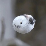 此间