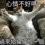 飞翔的企鹅🐧