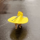 nini