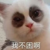 乖乖兆