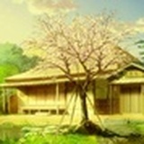 万意商务露露