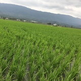暴富暴富暴富