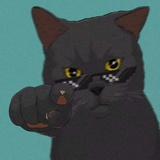 😼