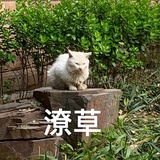 小懒