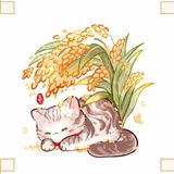 局外人kid