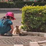马甜甜的马甜甜