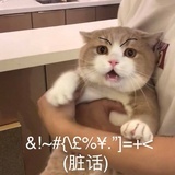 司司