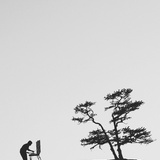 wdd