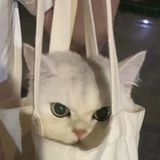 薯條超人