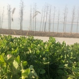 诗与岁月同歌