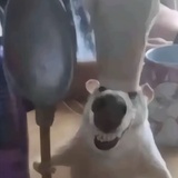 😋