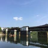 尼克