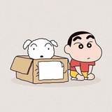 小辣椒