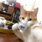 天道酬咪