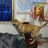 冒个泡儿