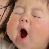 远赴林间客