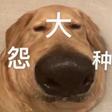 豆包当干粮