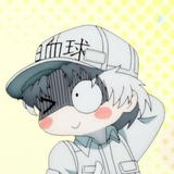 晚安Kigger