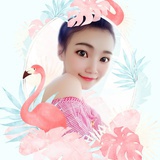 小狐狸