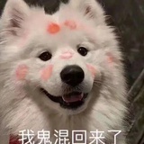 江湖混子