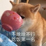 也许你也见过他
