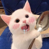 寻你千百度